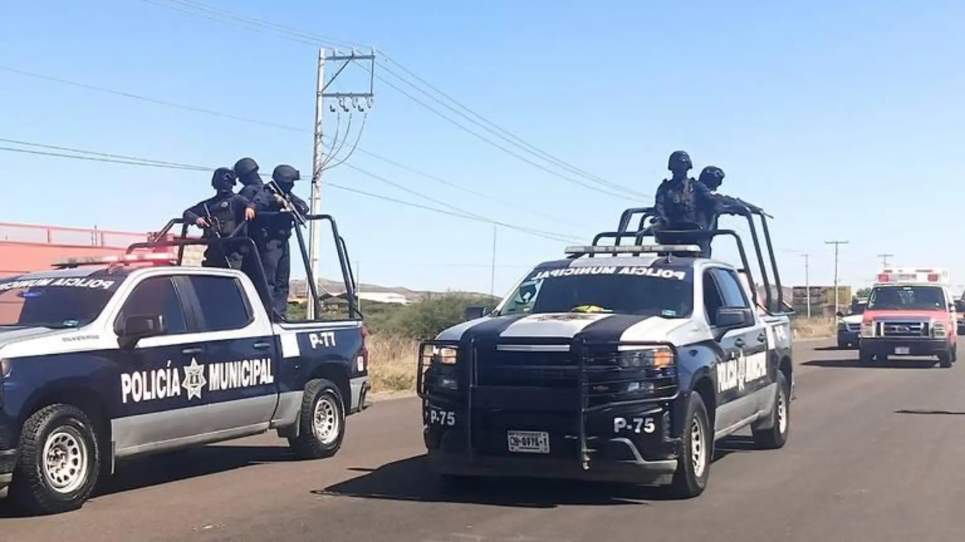 seguridad. cabalga